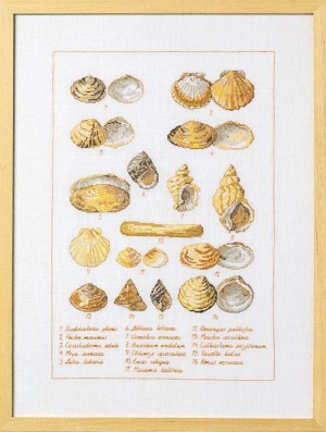 Permin 70-6400 Sea shells (Морские ракушки)