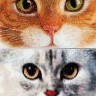 Набор для вышивания Thea Gouverneur 540A Cats Tiger + Kitty
