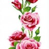 Набор для вышивания Каролинка КТКН 128 Розы