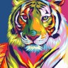 Paintboy GX9203 Радужный тигр