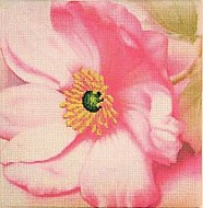 Schaefer 592/8 Розовый цветок