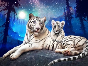 Алмазное Хобби Ah5529 Тигры в ночи