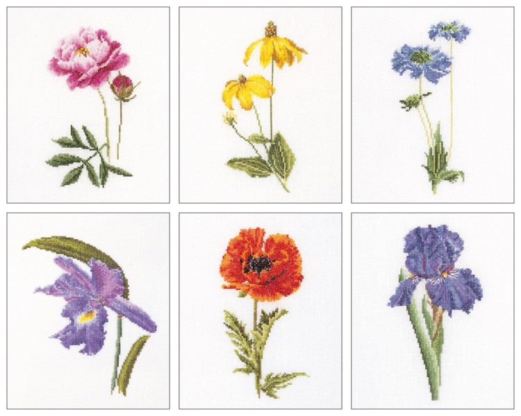 Набор для вышивания Thea Gouverneur 3085 Six Floral Studies