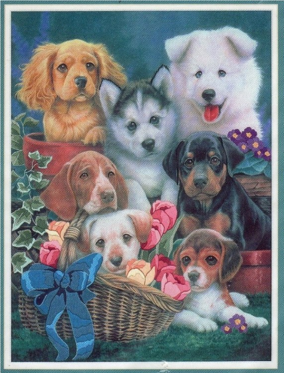 Набор для вышивания Dimensions 11123 Loving Puppies (made in USA)