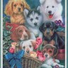 Набор для вышивания Dimensions 11123 Loving Puppies (made in USA)
