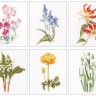 Набор для вышивания Thea Gouverneur 3086 Six Floral Studies