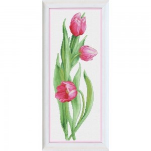 Olanta VN-050 Розовые тюльпаны
