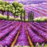 Набор для вышивания Anchor PCE0807 Provence Lavender Scape