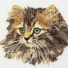 Набор для вышивания Thea Gouverneur 930 Long-haired Cat Brown