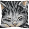 Набор для вышивания Collection D'Art 5082 Подушка "Спящая кошка"