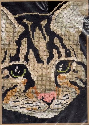 Dimensions 06696 Tabby Portrait (made in USA)