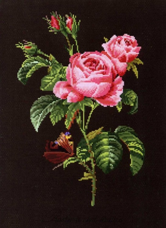 Набор для вышивания Thea Gouverneur 2030.05 Rose Redoute (Французская роза)