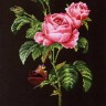 Набор для вышивания Thea Gouverneur 2030.05 Rose Redoute (Французская роза)