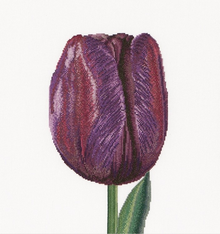 Набор для вышивания Thea Gouverneur 514 Purple Triumph tulip