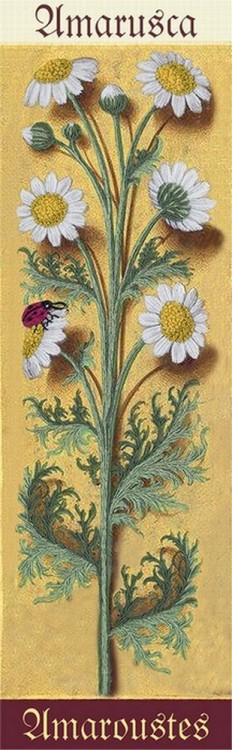 Набор для вышивания Панна JK-2119 Ботаника. Ромашка