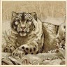 Набор для вышивания Dimensions 03835 The Snow Leopard (made in USA)
