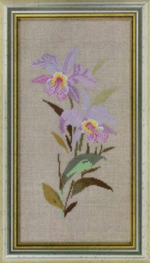 Eva Rosenstand 14-464 Lilac orchid - Лиловая орхидея