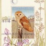 Набор для вышивания Derwentwater Designs WIL3 Barn Owl