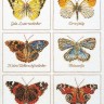 Набор для вышивания Thea Gouverneur 2037 Butterflies