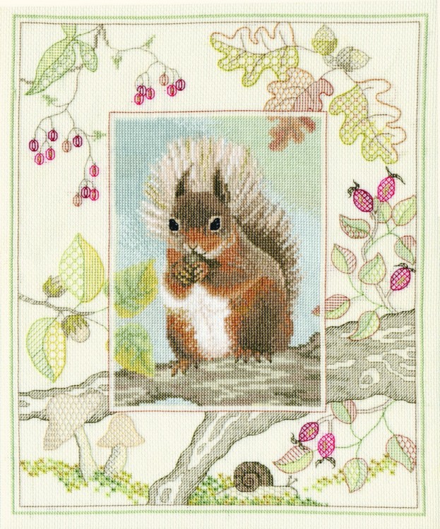 Набор для вышивания Derwentwater Designs WIL4 Red Squirrel