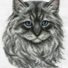 Набор для вышивания Панна J-1816 (Ж-1816) Невский маскарадный кот
