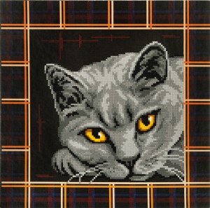 Фрея ALBP-292 Британская кошка
