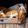 Алмазная живопись АЖ-4055 Котенок и лошади