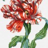 Набор для вышивания Белоснежка 6006-14 Тигровый тюльпан