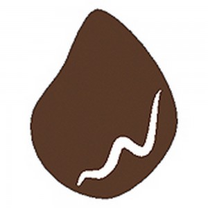 Stamperia KAOL08 Краска масляная Темно-коричневая 50 мл
