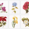 Набор для вышивания Thea Gouverneur 3087 Six Floral Studies