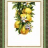Набор для вышивания Crystal Art ВТ-136 Полезные лимоны