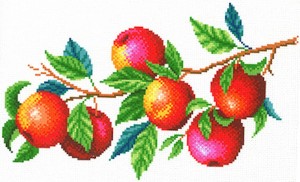 М.П.Студия СК-106 Урожай яблок