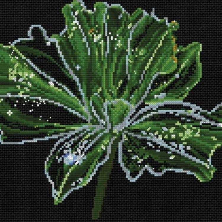 Набор для вышивания Белоснежка 6010-14 Неоновый цветок