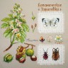 Набор для вышивания Марья Искусница 03.015.15 Ботаника: Каштан