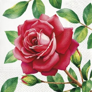 PAW Decor Collection TL700600 Салфетка трехслойная для декупажа "Особенная роза"