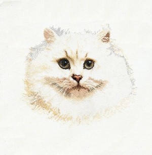 Thea Gouverneur 1045A White Persian Cat