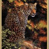 Набор для вышивания Dimensions 35209 Leopard's Gaze (made in USA)