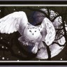 Набор для вышивания Панна J-0359 (Ж-0359) Белая сова