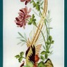 Набор для вышивания Anchor PE644 Винтажные хризантемы