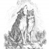 Фрея RPSB-0045 Скетч для раскрашивания чернографитными карандашами "Волки в горах"