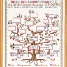 Набор для вышивания Eva Rosenstand 12-004 Родословное дерево