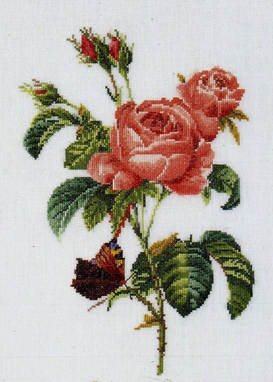 Набор для вышивания Thea Gouverneur 2030 Rose Redoute (Французская роза)