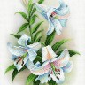 М.П.Студия СК-052 Благоухающие лилии