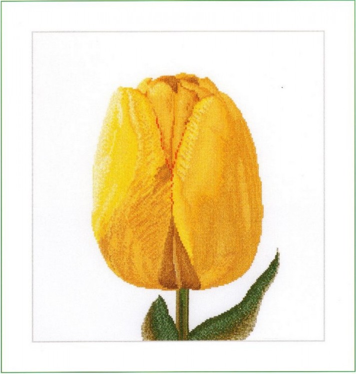 Набор для вышивания Thea Gouverneur 522 Yellow Hybrid Tulip