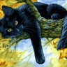 Белоснежка 296-AS Осенний кот
