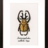 Набор для вышивания Vervaco PN-0165220 Золотой жук