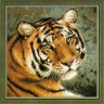 Набор для вышивания Риолис 1282 Амурский тигр