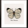 Набор для вышивания Vervaco PN-0165233 Белая бабочка