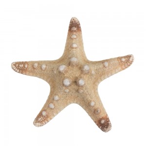 Blumentag MZF-001.01 Декоративная морская звезда