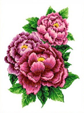 Набор для вышивания Каролинка КТКН 126 (Р) Розовые пионы